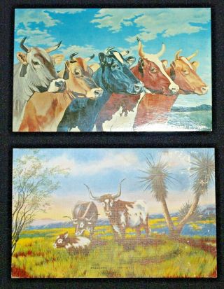 Cows " 5 Queens " 1961 And " Pioneers Of The West " 1941 Vintage Postcards