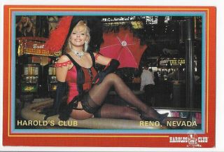Vintage Postcard Of Showgirl At Harold 