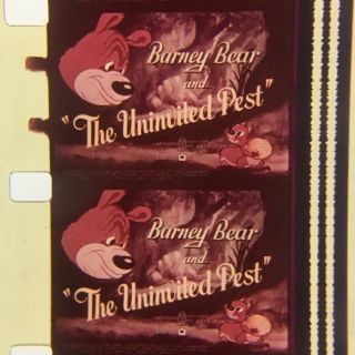 16mm Film Cartoon: Mgm - Barney Bear In " The Uninvited Pest "