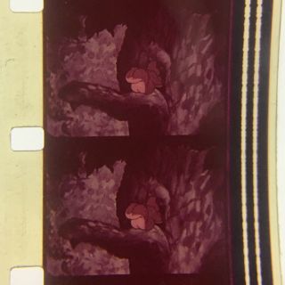 16MM Film Cartoon: MGM - Barney Bear in 