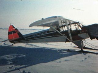 Rare 16mm Film 1950s Home Movie Polar Bear Hunt By Airplane In Kodachrome