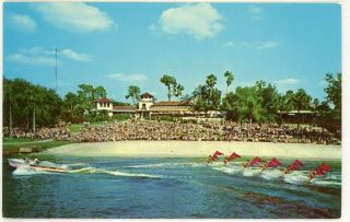 Vintage Cypress Gardens Florida Fl " The Aquqmaids Ski Show " Postcard