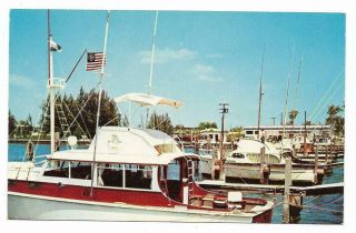 Vintage Florida Chrome Postcard Sailfish Center Palm Beach Shores