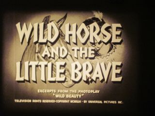 16 Mm B&w Sound 1001 1952 Castle Films Wild Horse Little Brave Buzz Henry
