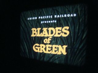 VINTAGE 1950S COLOR FILM.  ' BLADES OF GREEN ' 2