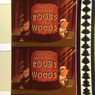 16mm Film Cartoon: Loony Toons - " Boobs In The Woods "