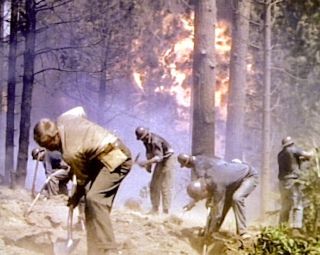 RED SKIES OF MONTANA - 16mm action - adv Richard Widmark,  Richard Boone 3