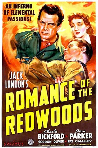 Romance Of The Redwoods - 16mm Action - Adv - Drama Charles Bickford,  Jean Parker