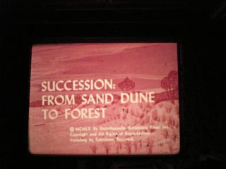 16mmsuccession; From Sand Dune To Forest 800 