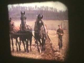 16mm Home Movies 1939 Farming Horse Plow 200’
