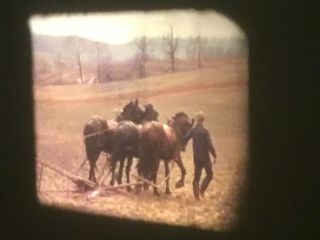 16mm Home Movies 1939 Farming Horse Plow 200’ 3
