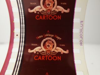 35mm film TEX AVERY cartoon ROCK - A - BYE BEAR MGM 1952 color Butch/Spike dog 3