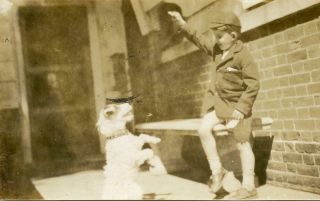 At126 Vtg Photo Summer Suit Boy W Fox Terrier,  Sitting Up Treat C Early 1900 