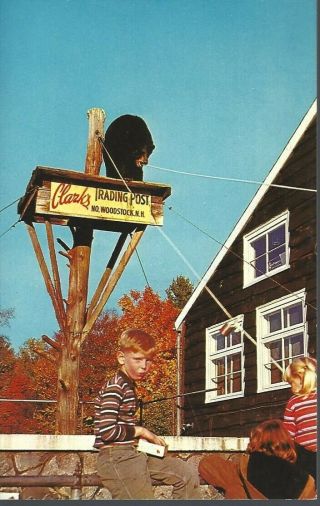 Vintage Postcard,  Clark 