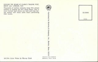 Vintage Postcard,  Clark ' s Trading Post,  Feeding The Bears,  Lincoln,  NH, 2