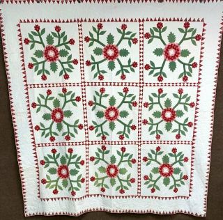 Early Turkey Red Green C 1850s Album Whig Rose Quilt Antique Diamonds Points