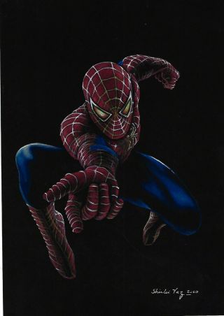 Spider - Man (09 " X12 ") And Unique 1/1 Comic Art By Shirlei Vaz