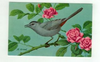 Vintage 1957 Nwf Post Card Artist Signed Al Kreml " Catbird "