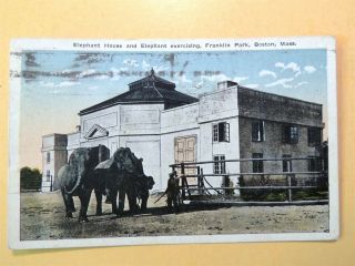 Elephant House Franklin Park Zoo Boston Massachusetts Vintage Postcard 1919