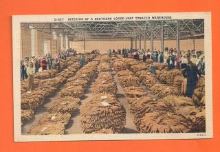 Vintage Postcard Interior View Of A Southern Loose - Leaf Tobacco Warehouse