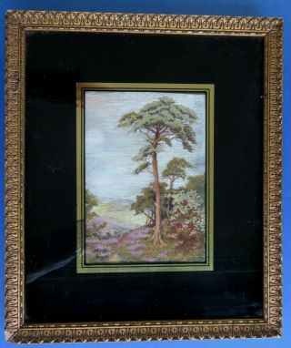 An Early 19th Century Silkwork Hand Embroidered Picture Of A Pine Tree - Framed