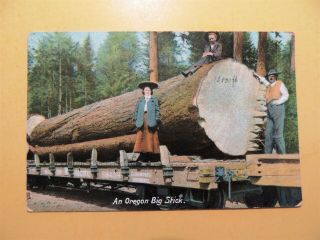 An Oregon Big Stick Vintage Postcard People Standing By Huge Cut Timber