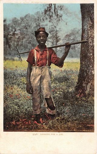 Vintage Postcard Black African American Child Looking For A Job