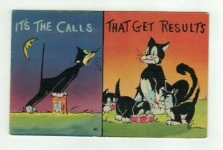 Vintage Linen A/s Comic Cat Post Card " It 