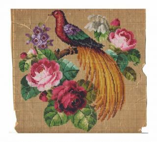 Antique Berlin Woolwork Hand Painted Chart Pattern Exotic Bird W Flower