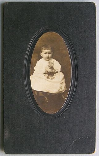 Cute Little Girl W/ Steiff? Teddy Bear Vintage Cabinet Card Photo C.  1910