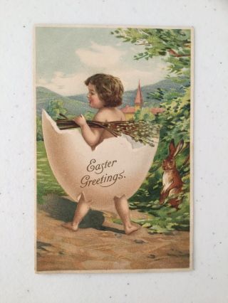 Vintage Easter Postcard,  Child In Half Egg Shell Holding Pussy Willows & Bunny
