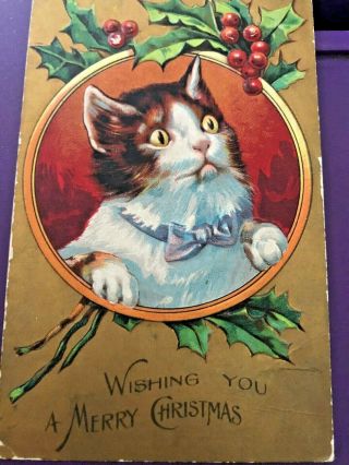 Vintage Xmas Cat Series Postcard Wishing You A Merry Christmas Embossed.