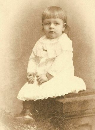 Antique Cabinet Photo Darling Little Victorian Girl On Hay Lewiston Me 1800s