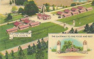Vintage Florida Linen Postcard Live Oak Blue Lodge Hotel Court Gateway Aerial