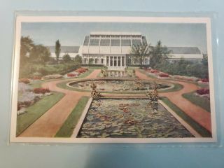 Vintage Postcard Missouri Botanical Garden Lithograph St.  Louis Missouri