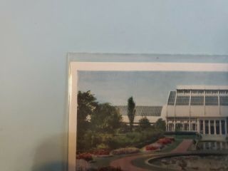 Vintage Postcard Missouri Botanical Garden Lithograph St.  Louis Missouri 2