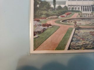 Vintage Postcard Missouri Botanical Garden Lithograph St.  Louis Missouri 3