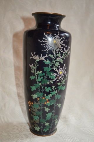 Vintage Or Antique China Cloisonne Vase Chrysanthemums & Posies Blue Black 10 "