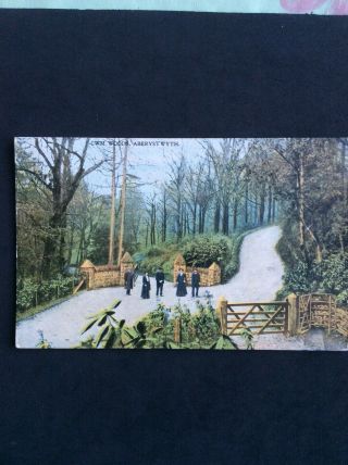C W M Woods Aberystwyth Vintage Postcard Posted 1905