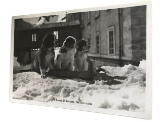 Au Grand St Bernard Derniere Nichee Swiss Vintage Postcard