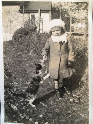 Vintage Snapshot Photograph Little Girl With Cat Stood Up On Back Legs Cute