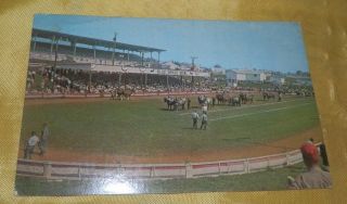 Vintage Chrome Postcard - State Fair Of West Virginia - Lewisburg,  Wv -