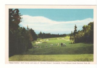 Green Gables Golf Course,  Cavendish,  Prince Edward Island,  Vintage Peco Postcard