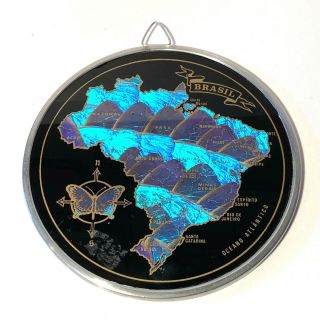 Vintage Art Deco Iridescent Butterfly Wing Map Of Brazil Wall Hanging - Brasil