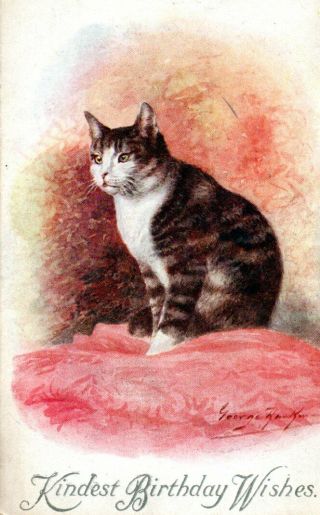 Vintage Birthday Greeting Postcard: Tabby & White Cat By George Rankin