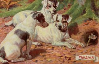 Vintage Plain Back Card: Terrier Dogs Sitting By A Rat Hole - The Liar