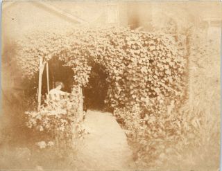 Vintage Photograph,  Lady On Swing,  Arbor,  Ivy,  Black And White Photo,  Vernacular