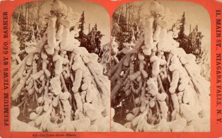The Tower Grove In Winter.  George Barker Stereoview Photo