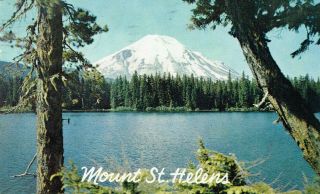 Vintage Mount St.  Helens Washington Postcard 1964 Postmark