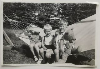 Vintage Photo: Three Young Boy´s In Hammock.  One With Teddy Bear Smoking Pipe